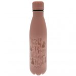 Bottles & Flasks