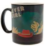 Heat Changing Mugs