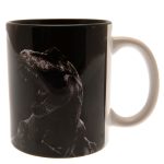 Standard Mugs