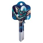 Keys & Padlocks